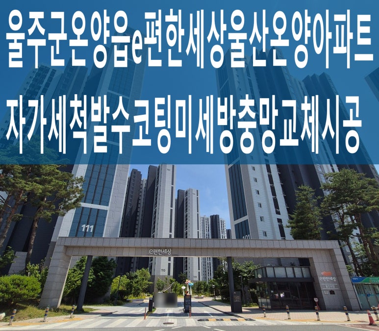 더존세상 이미지