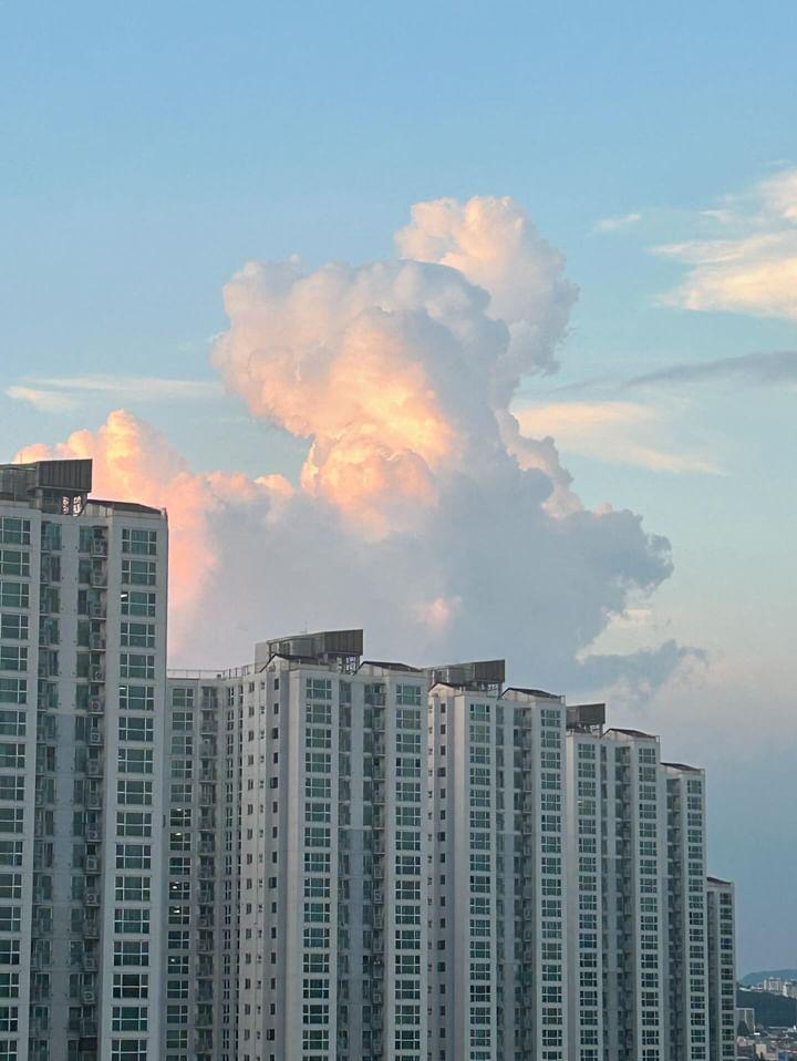 이사칠 이미지