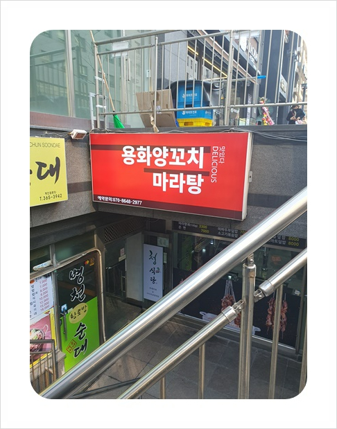 여의도양꼬치 이미지