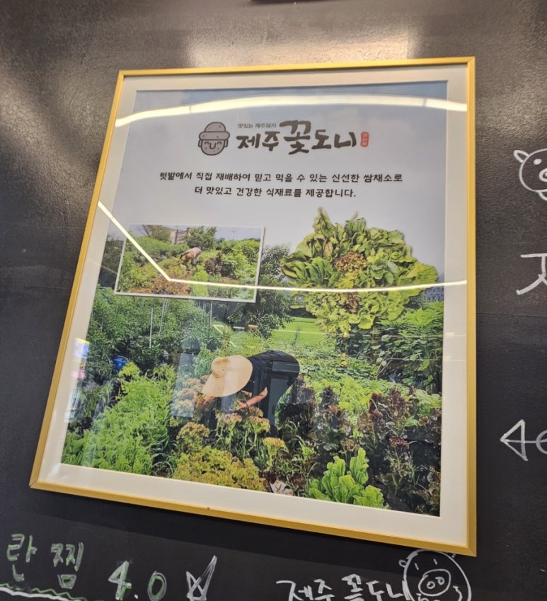 제주꽃도니 이미지