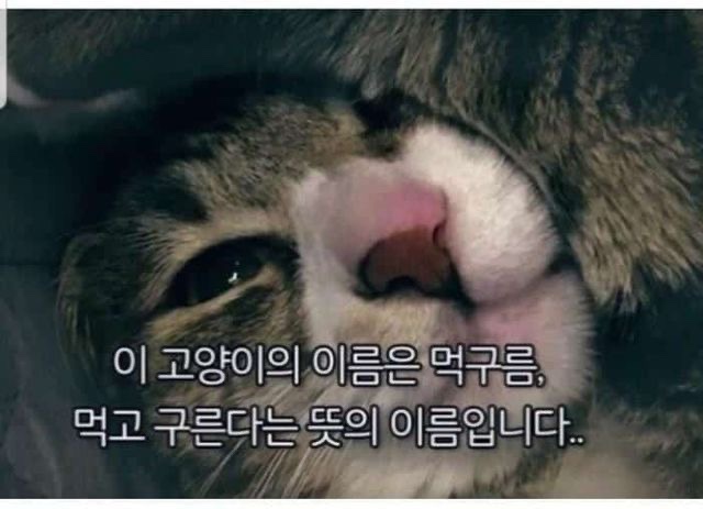 라인공방 이미지