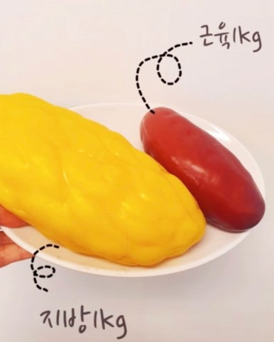 나이스점핑 이미지