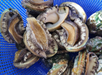 제철수산 이미지