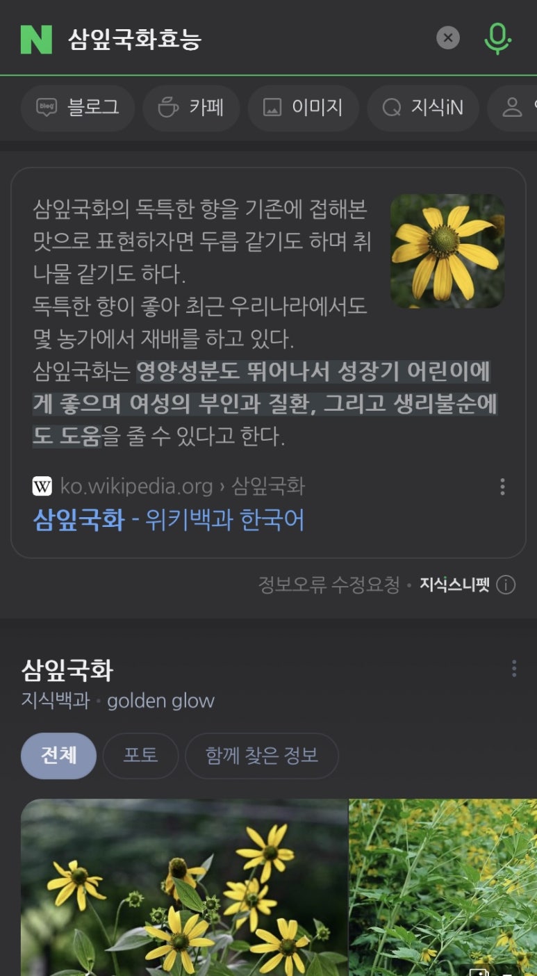 오미브레드 이미지