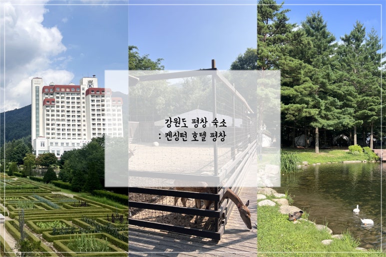 키즈팜가든 이미지