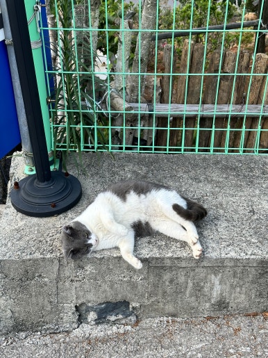 한산면옥 이미지