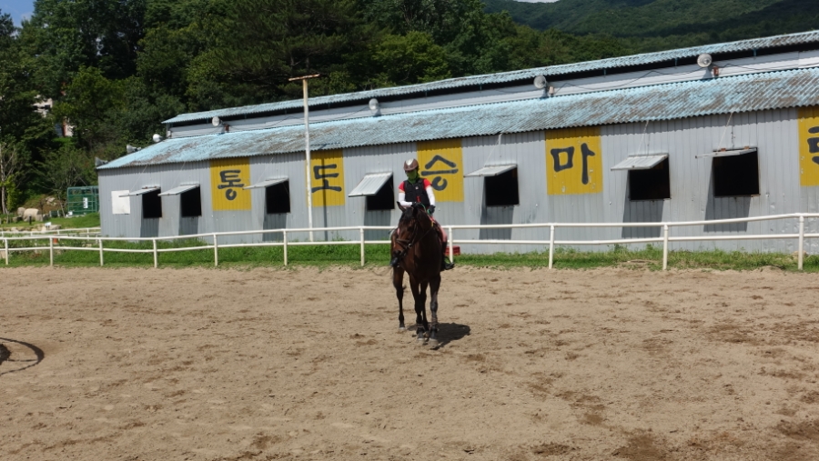 통도승마랜드 이미지