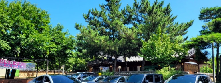 산죽칼국수 이미지