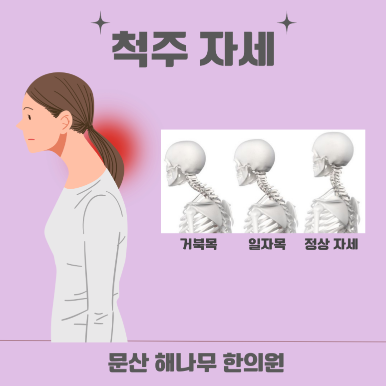 문산해나무한의원 이미지