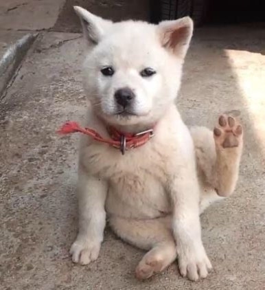 마시써 이미지