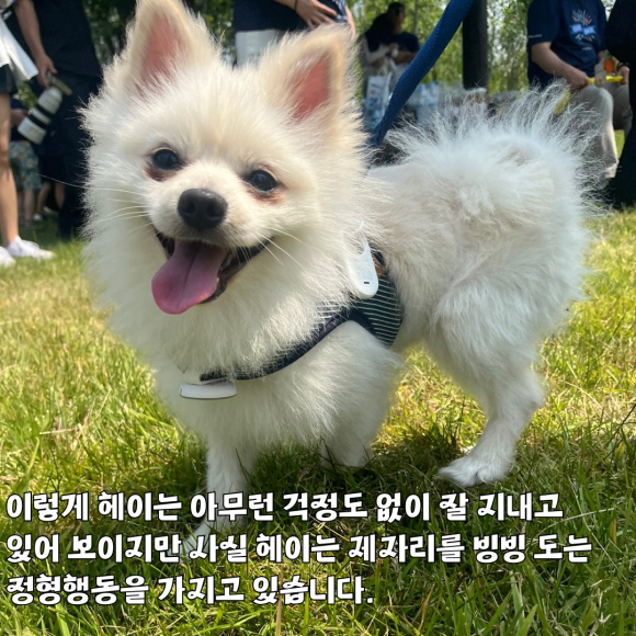 헤이스토리 이미지