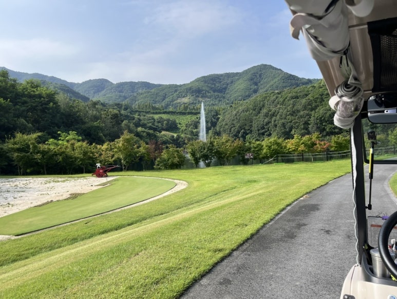 신라오비 이미지