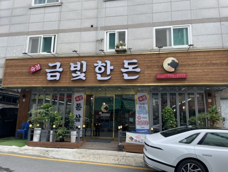 금빛한돈 이미지
