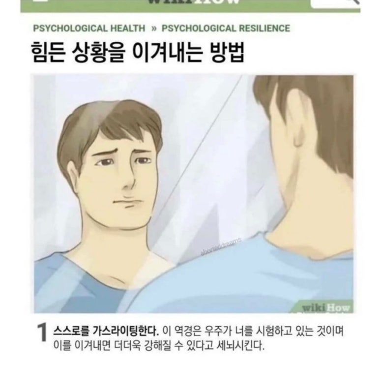 피랑 이미지