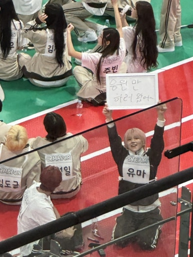 피랑 이미지