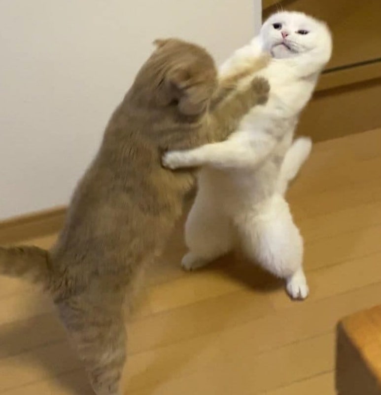 카페가재 이미지