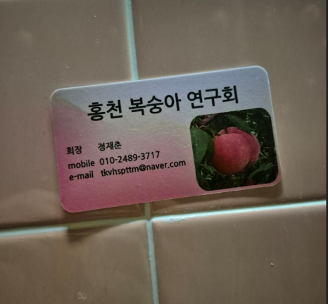 더드림농원 이미지
