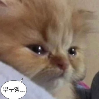 영앤로또 이미지