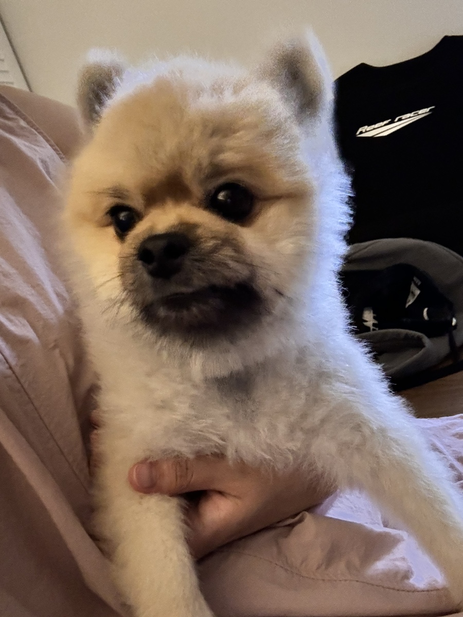광PC까페대명점 이미지