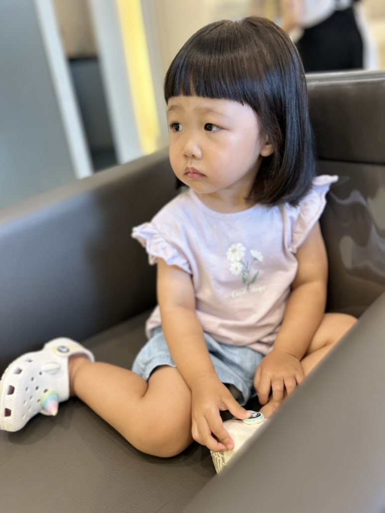 오브제딤 이미지