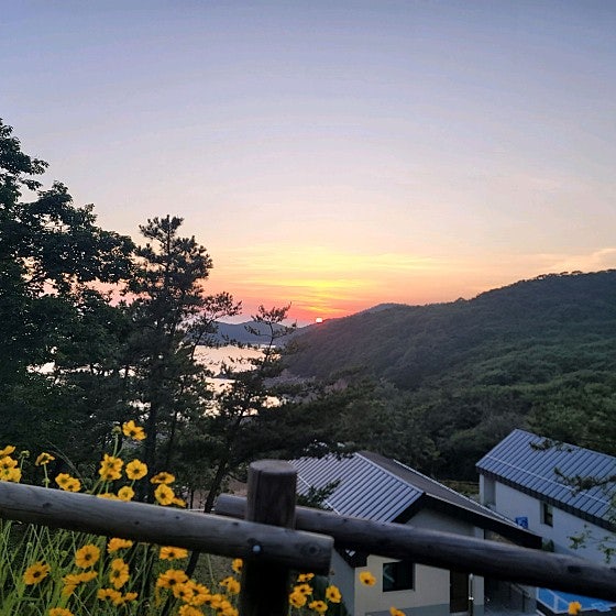 국립무의도자연휴양림 이미지