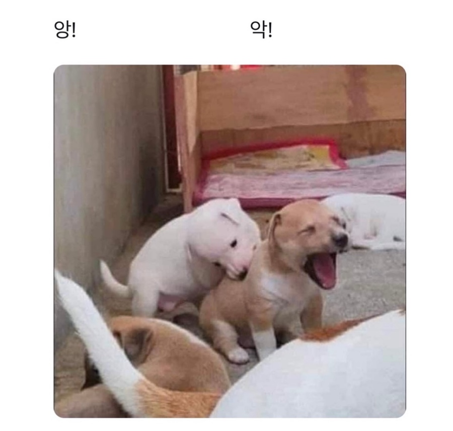 시즌커피앤베이크 이미지
