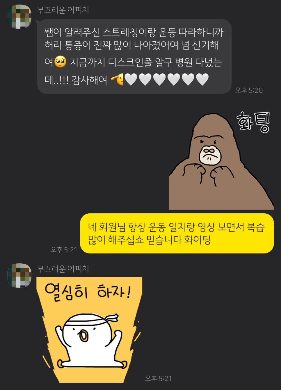 근육돼짐 이미지
