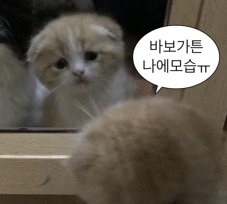 러키 이미지