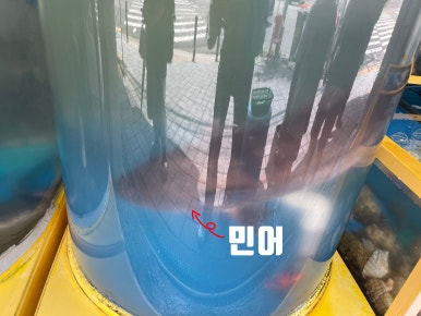 부구수산 이미지