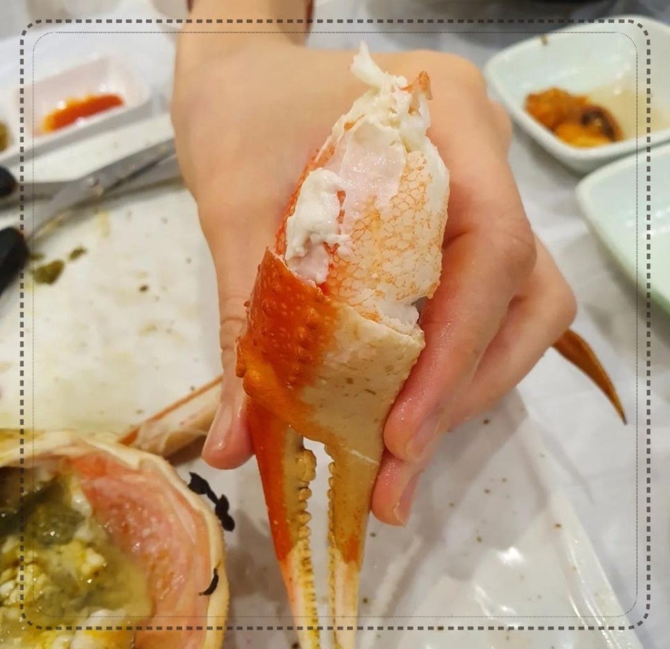 동해계절맛집 이미지