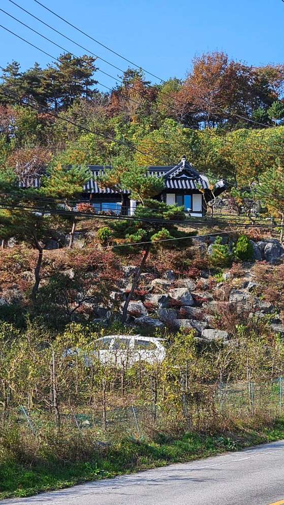 비내청명원 이미지
