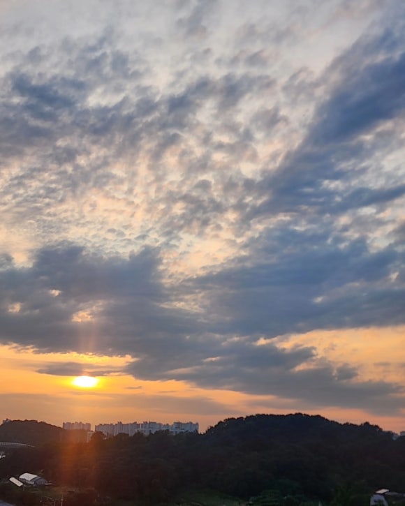 오즈핸드 이미지