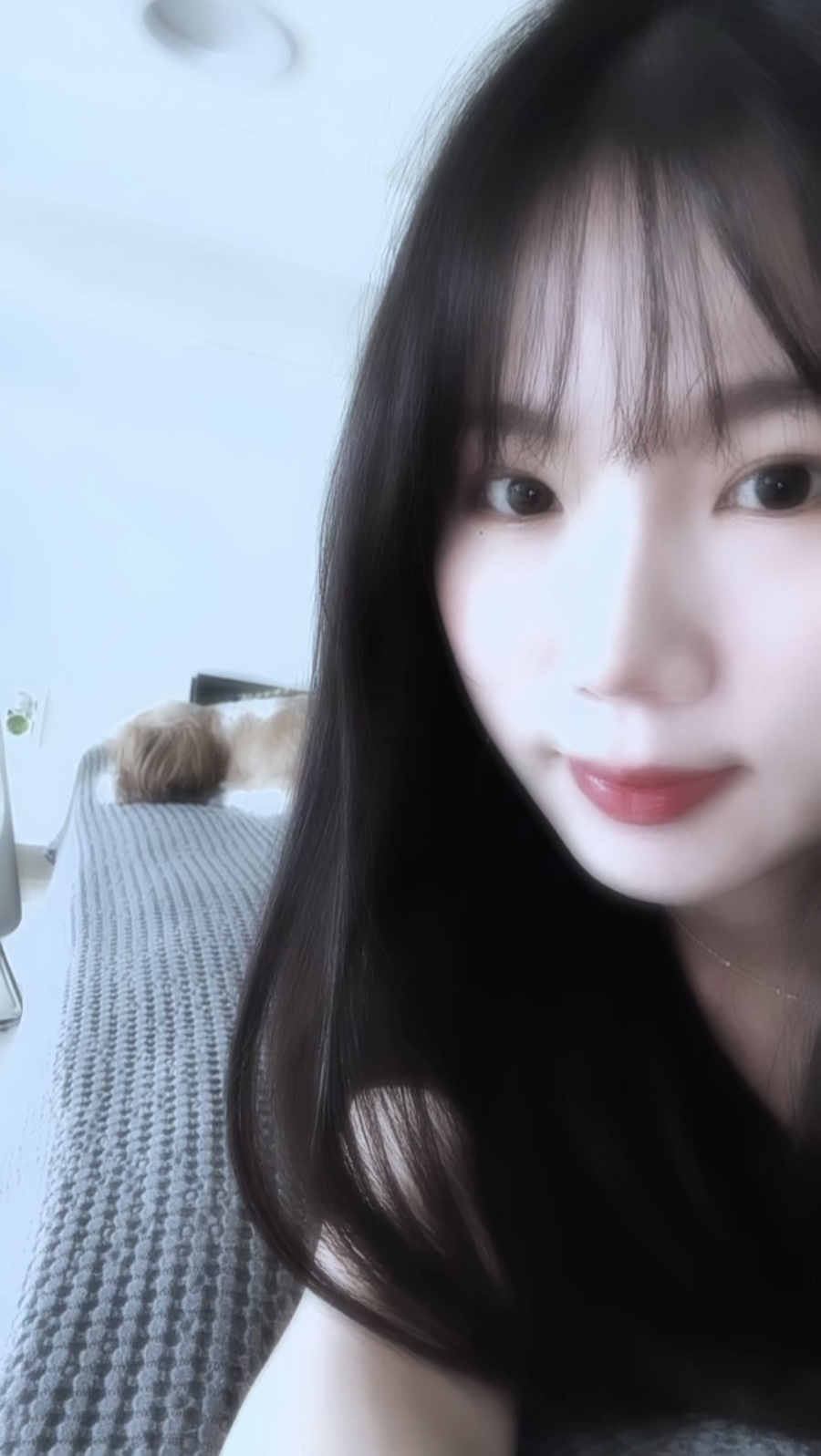 자나샐러드 이미지