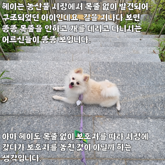 헤이스토리 이미지