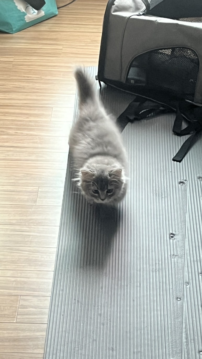 (주)재재투어 이미지