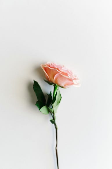 햅앤탭 이미지