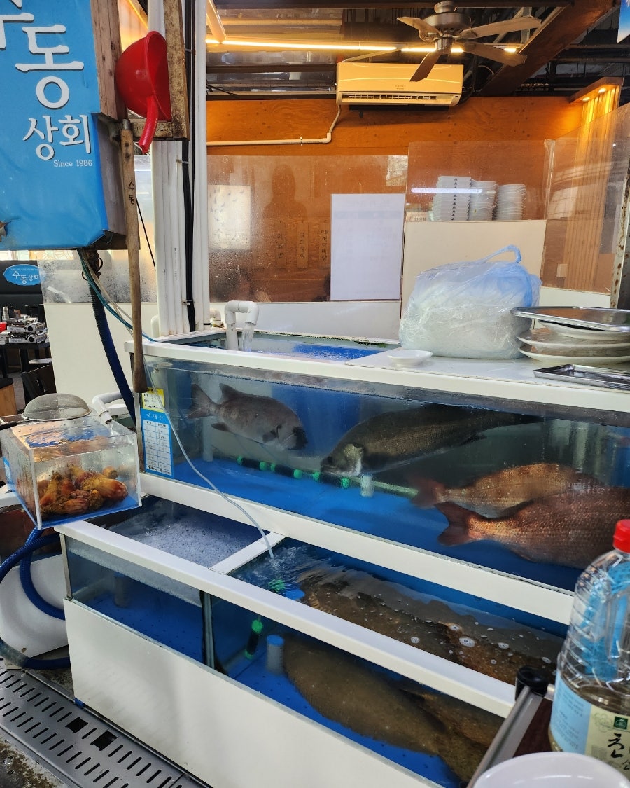 수동상회 이미지