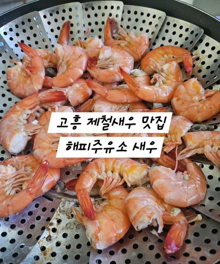 고흥주유소 이미지