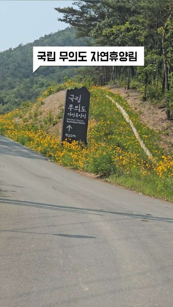 국립무의도자연휴양림 이미지
