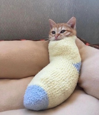 카페하임 이미지