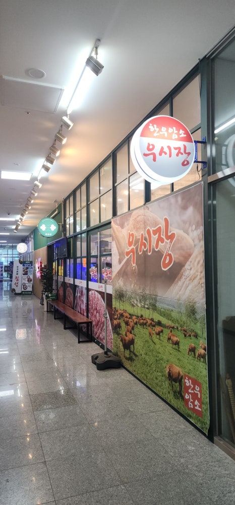 꽃춘삼 사진 6