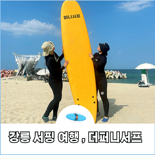 더퍼니서프 이미지