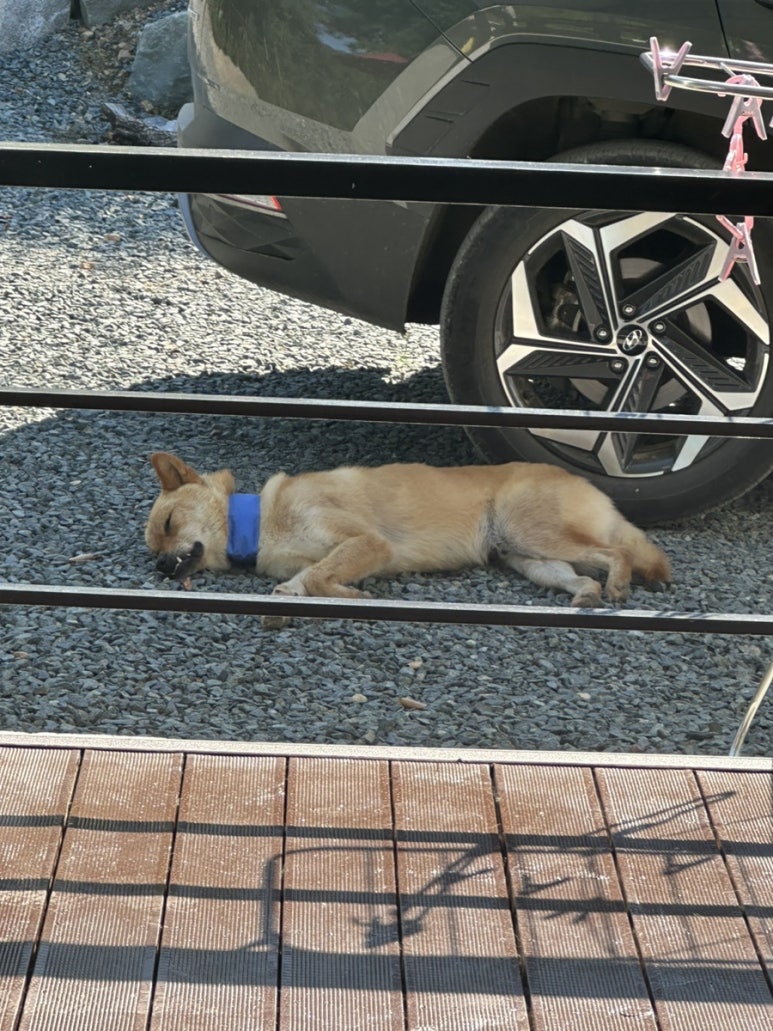 토끼띠커피공방 이미지