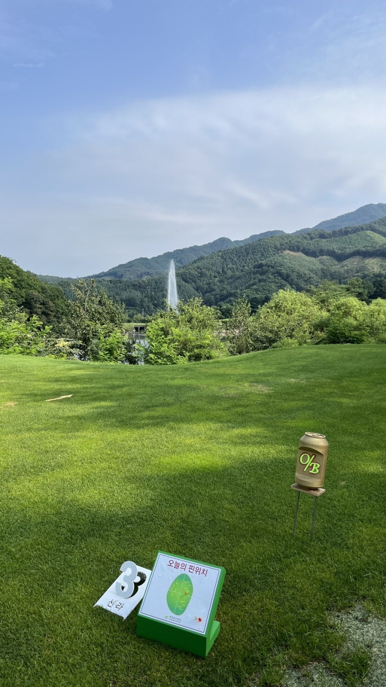 신라오비 이미지