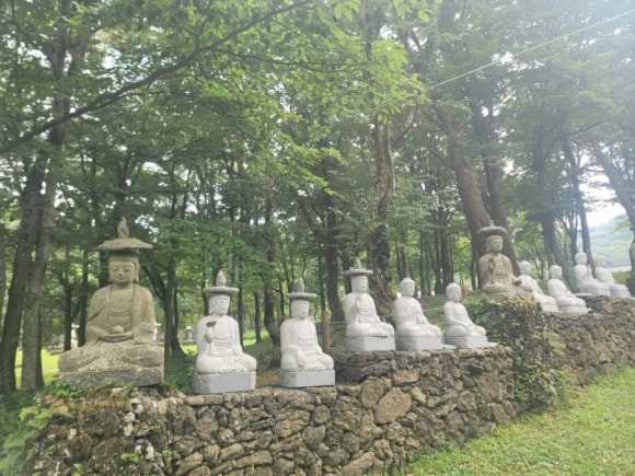 킹콩부대찌개제주아라점 이미지