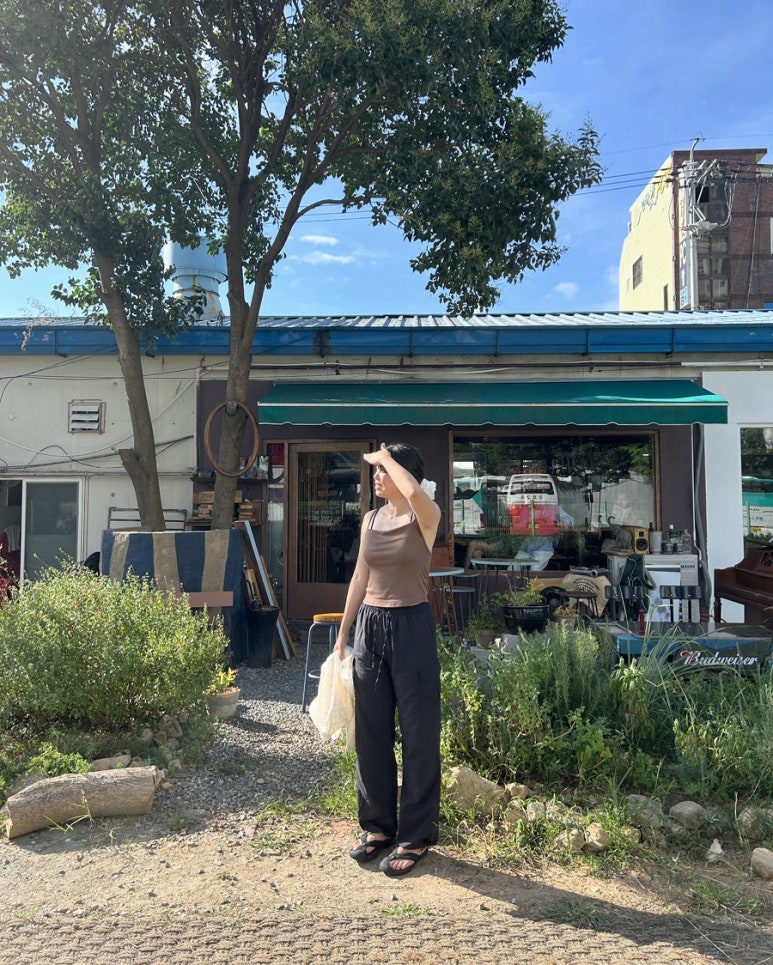 타카카Takaka 이미지