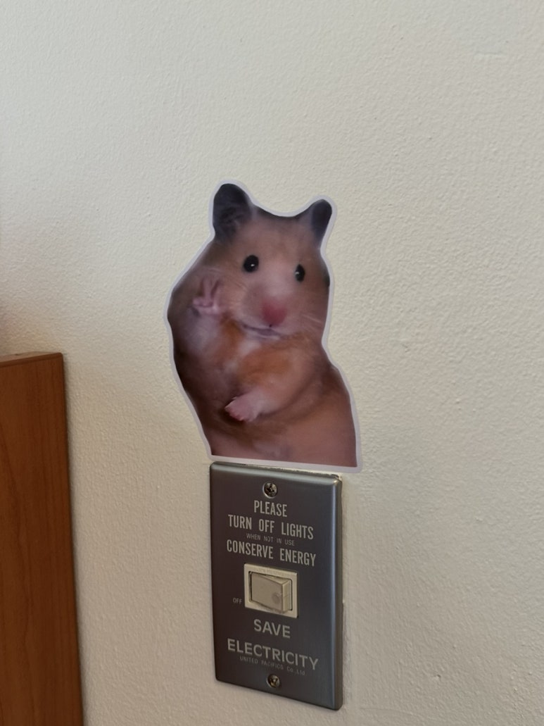 윤샌드 이미지