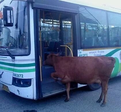 짐 이미지