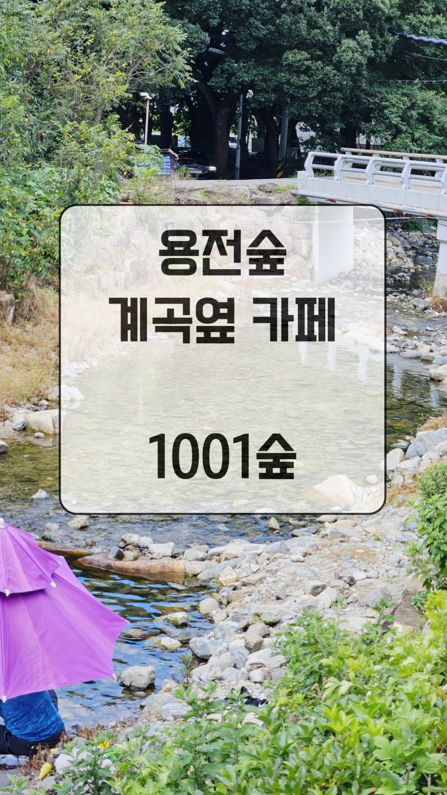 1001숲 이미지