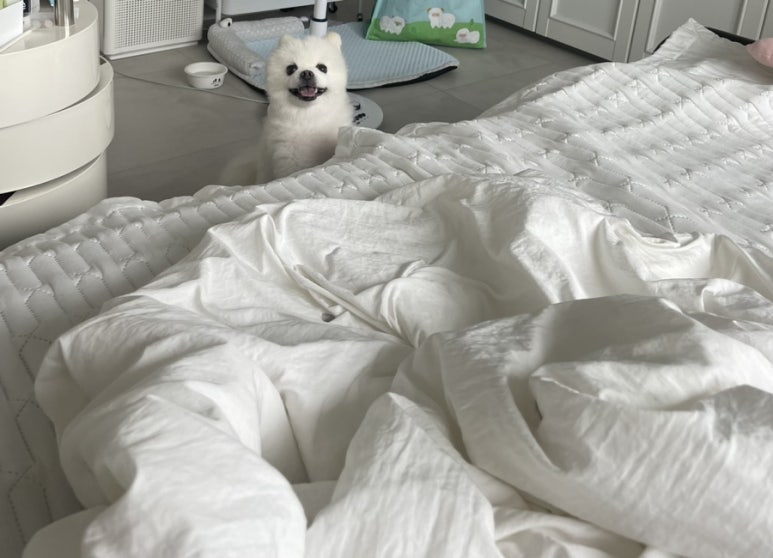 오씨오씨 이미지